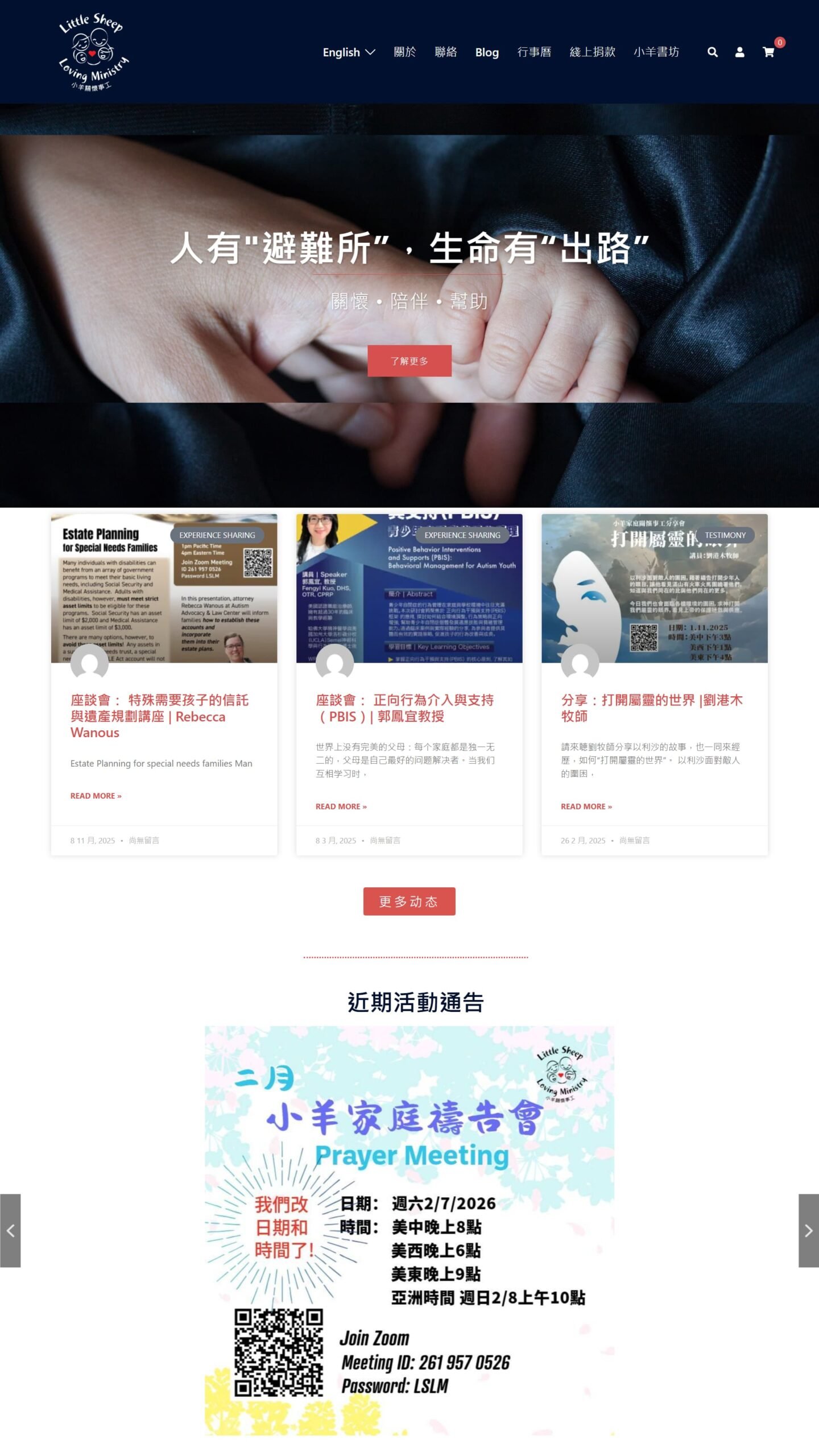 screencapture lslm01